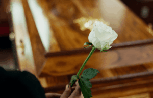Bitcoin Has Been Declared Dead 21 Times in 2026, Yet It Won’t Stay Buried