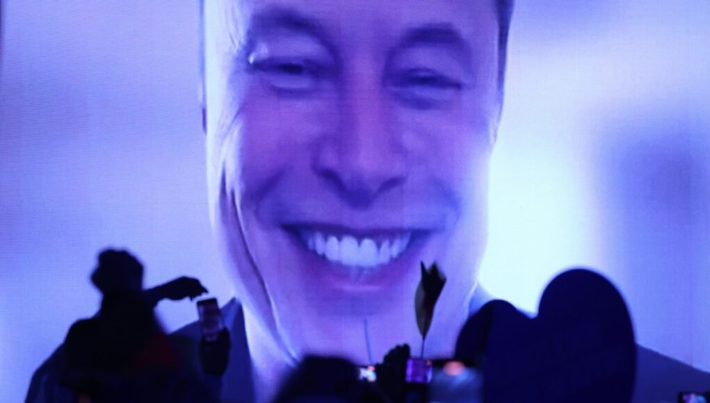 elon-musk-election-afd-purple.jpg