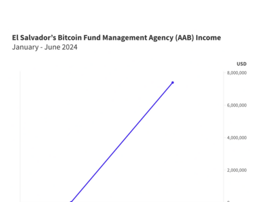 El Salvador Bitcoin agency reportedly made $235 this year, $7M off target