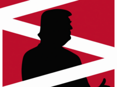 Trump discovered he was winning via Polymarket, says CEO