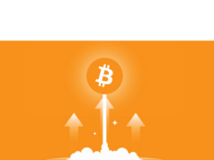 Trump win sends Bitcoin price to all-time high — and boosts 8 key metrics