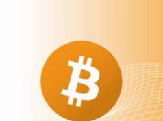 All bitcoin models destroyed: Stock-to-Flow, Power Law, Rainbow