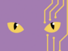 Founder of ‘AI-slop’ game Catly has NFT history