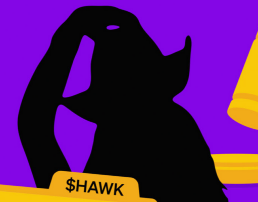 Haliey Welch isn’t listed in HAWK memecoin lawsuit