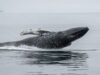 Ethereum Whale Capitulates After 3 Years, Losses Top $19 Million