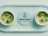 Samsung Galaxy S26 FE: The Next Phone Reveal Is Almost Here