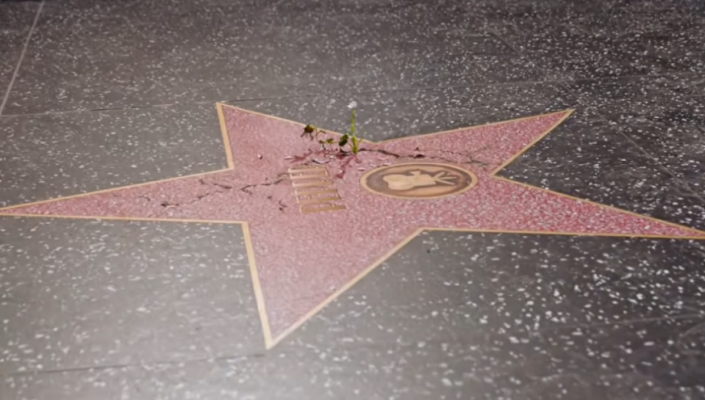 hero-image.fill_.size_1200x675.v1785960089.png