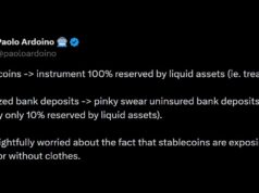 Tether CEO Slams BIS Over Tokenized Bank Deposit Push