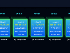 Replay Attack Alarm Grows as BIP-110 Backers Brand Bitcoin ‘Spamcoin’