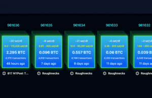 Replay Attack Alarm Grows as BIP-110 Backers Brand Bitcoin ‘Spamcoin’