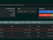 Whale Places $203M Short Bet Against Tokenized SpaceX Stock