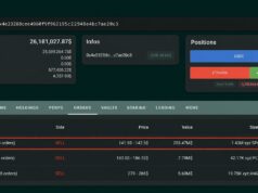 Whale Places $203M Short Bet Against Tokenized SpaceX Stock