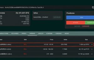 Whale Places $203M Short Bet Against Tokenized SpaceX Stock