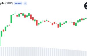 XRP Active Addresses Hit 2-Month High as Sentiment Turns Bearish