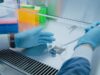 AI Models Built From Rat Brains Just Got Closer to Reality