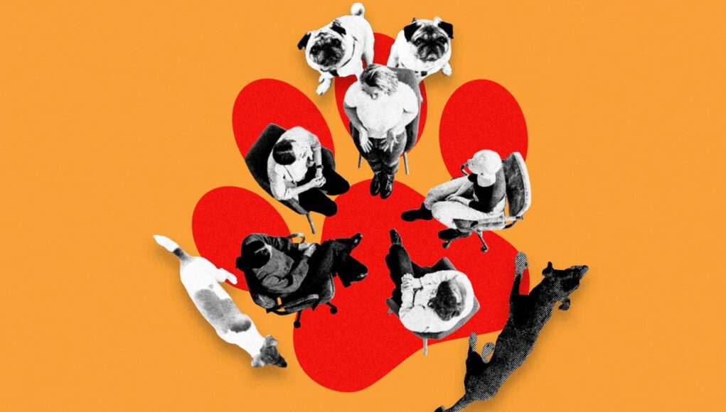 Inside-Support-Group-Bad-Dogs-Culture.jpg