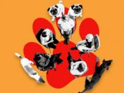 Welcome to Dogs Anonymous, the Online Support Group for People With Difficult Dogs