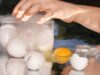There’s a Hot New Egg-Freezing Startup. It’s Weirder Than You Could Imagine