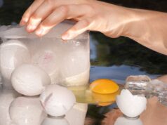 There’s a Hot New Egg-Freezing Startup. It’s Weirder Than You Could Imagine