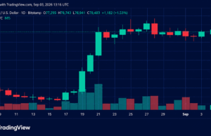 Bitcoin Price Surges as Bulls Slam Into $79,000 Resistance
