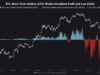 Bitcoin’s $9.07B Whale Profit Record Puts Rally Floor to Test