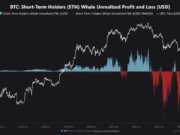 Bitcoin’s $9.07B Whale Profit Record Puts Rally Floor to Test