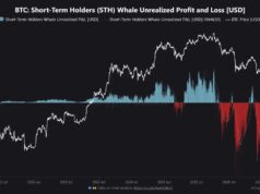 Bitcoin’s $9.07B Whale Profit Record Puts Rally Floor to Test
