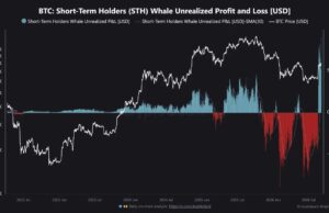 Bitcoin’s $9.07B Whale Profit Record Puts Rally Floor to Test