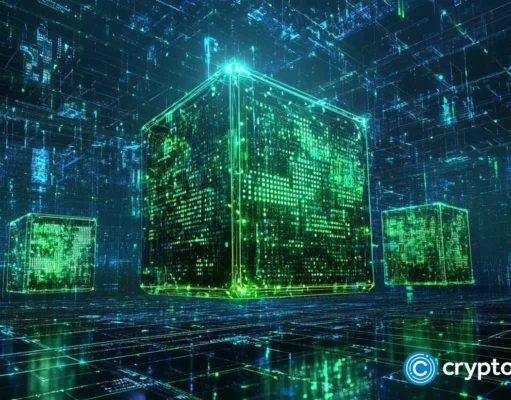 MultiversX investigates potential mainnet issue