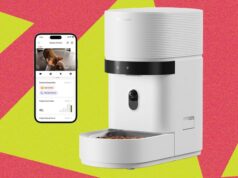 These 12 Automatic Cat Feeders Were the Best We Tested in 2026