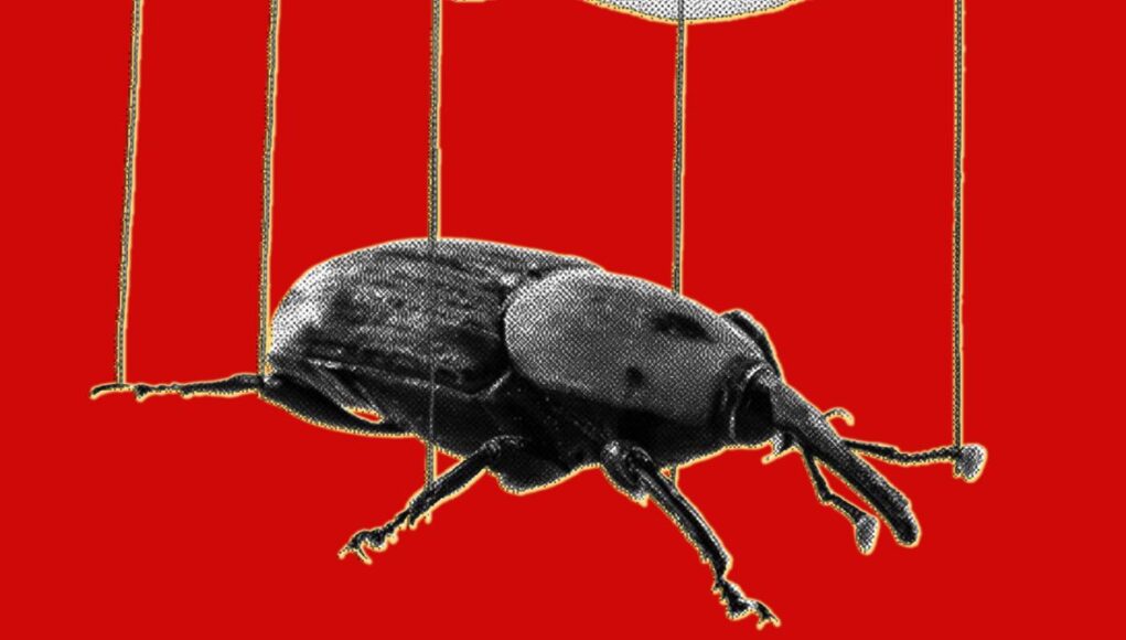KernelPanic_The20PHP20Meltdown20Shows20How20AI20Makes20Bugs20More20Exploitable.jpg