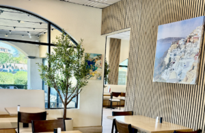 Gyros, Cocas, And 219 Arizona Bitcoin Merchants