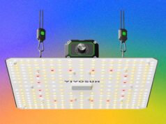 The Best LED Grow Lights for Houseplants This Winter (2026)