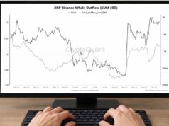 XRP Whale Transfers off Binance Reach Highest Level in 7 Months