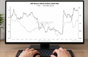 XRP Whale Transfers off Binance Reach Highest Level in 7 Months