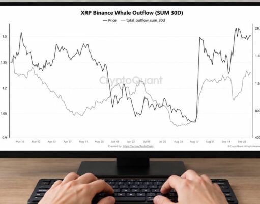 XRP Whale Transfers off Binance Reach Highest Level in 7 Months
